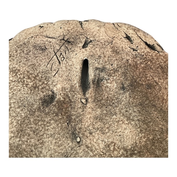 Shapes Of Clay Hummingbird Wall Art Sculpture Signed By Artist Stan Langtwait - Picture 11 of 13